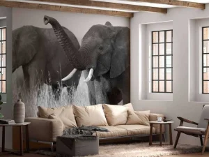 Fashion Olifanten in zwart-wit fotobehang Dieren