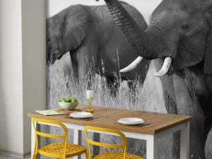 Fashion Olifanten in zwart-wit fotobehang Dieren