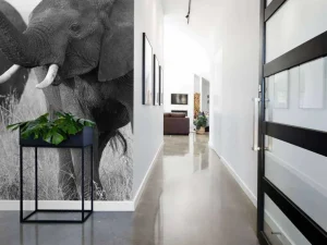 Fashion Olifanten in zwart-wit fotobehang Dieren