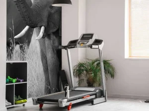 Fashion Olifanten in zwart-wit fotobehang Dieren