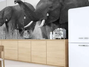 Fashion Olifanten in zwart-wit fotobehang Dieren