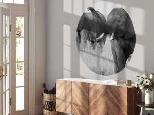 Fashion Olifanten in zwart-wit fotobehang Dieren