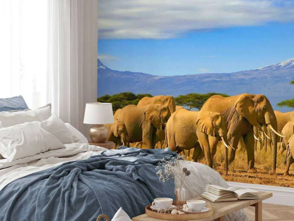 olifanten_met_de_kilimanj_1.webp Best Olifanten met de Kilimanjaro berg op de achtergrond fotobehang Dieren