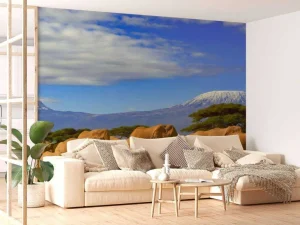 Best Olifanten met de Kilimanjaro berg op de achtergrond fotobehang Dieren
