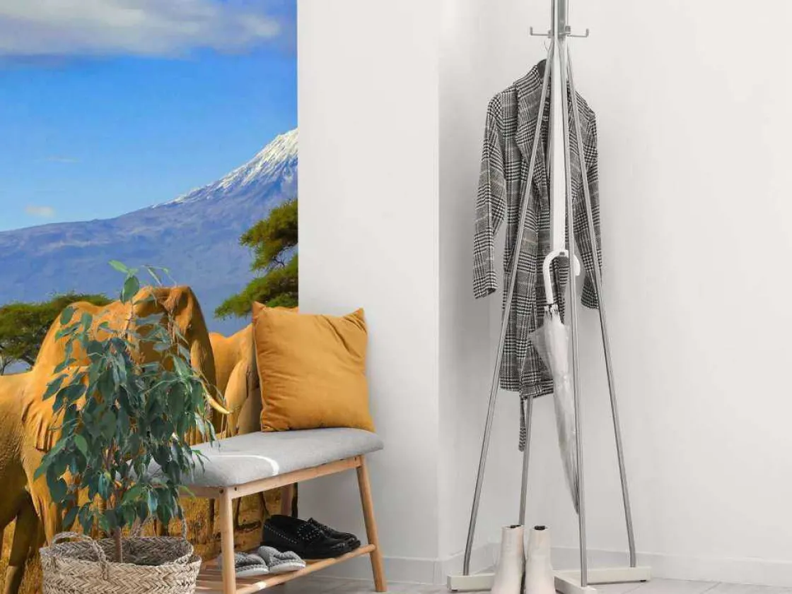 olifanten_met_de_kilimanj_4.webp Best Olifanten met de Kilimanjaro berg op de achtergrond fotobehang Dieren