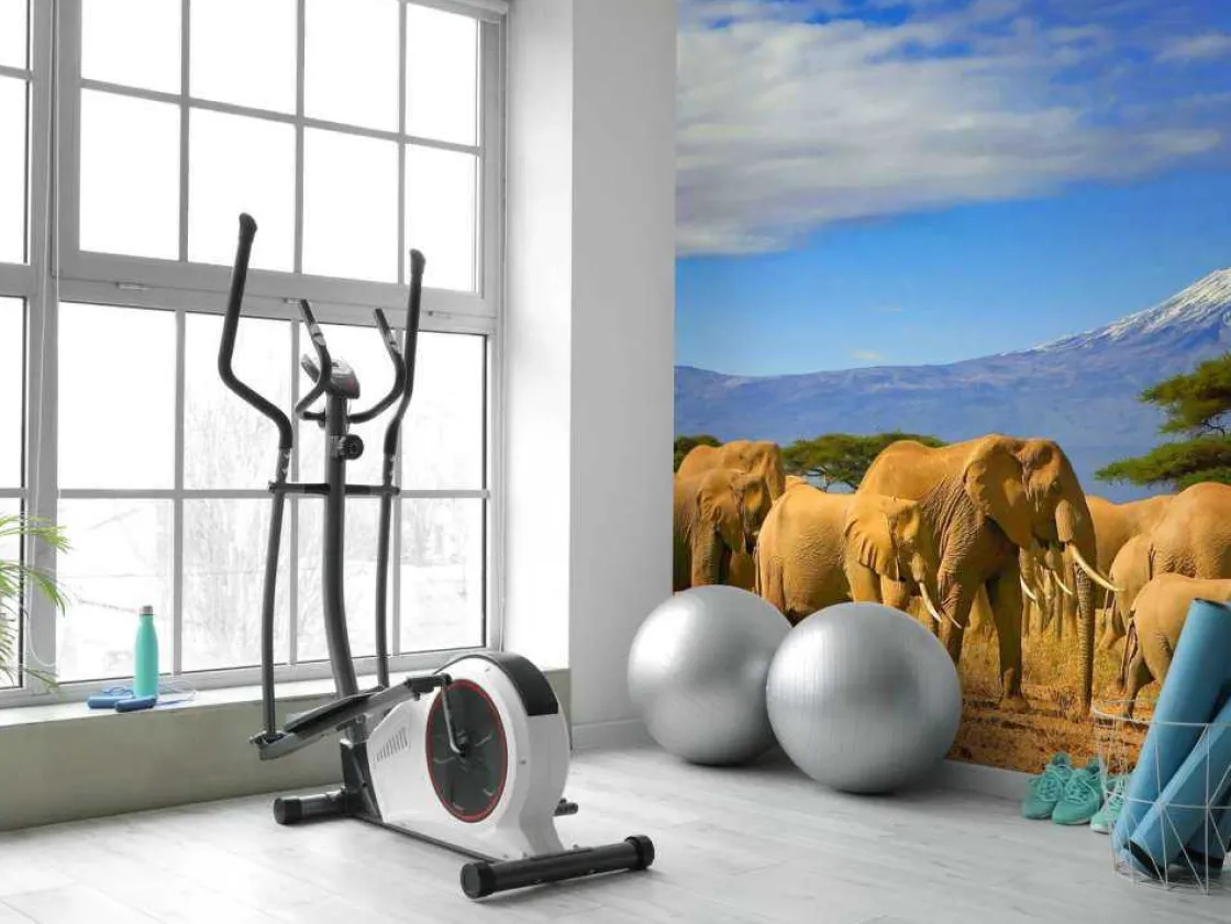 olifanten_met_de_kilimanj_5.webp Best Olifanten met de Kilimanjaro berg op de achtergrond fotobehang Dieren