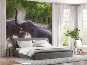 New olifanten spelen in het water fotobehang Dieren