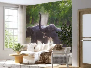New olifanten spelen in het water fotobehang Dieren