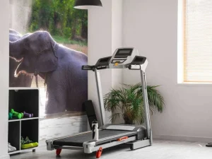 New olifanten spelen in het water fotobehang Dieren