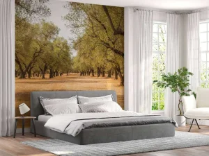 Clearance Olijfbomen Veld fotobehang Bloemen