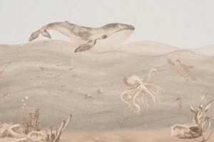 Sale Onderwater wereld in taupe Kinderkamer | Dieren
