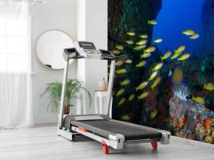 Discount Onderwatergrot fotobehang Dieren