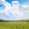 Best Open veld met Hond Engel wolk fotobehang Kinderkamer | Dieren