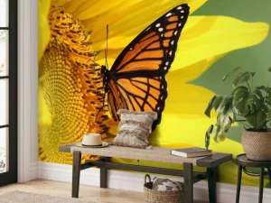Fashion Oranje Vlinder op Zonnebloem fotobehang Dieren | Bloemen