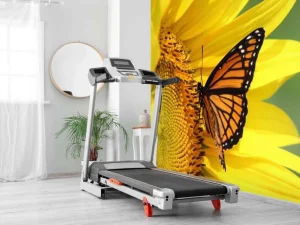 Fashion Oranje Vlinder op Zonnebloem fotobehang Dieren | Bloemen