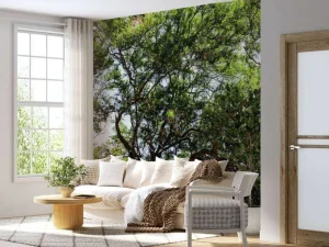 Best Oude Boom in Jungle fotobehang Bloemen