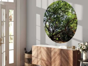 Best Oude Boom in Jungle fotobehang Bloemen