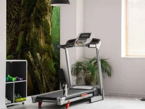 Sale Oude Boom met Rotsen fotobehang Bloemen