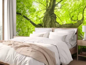 Best Oude Groene Boom tijdens Zonnige Dag fotobehang Bloemen