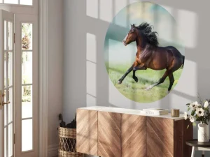 Fashion Paard aan het rennen fotobehang Dieren