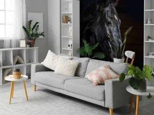 Hot Paard met een donkere achtergrond fotobehang Tienerkamer | Kinderkamer