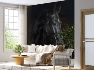 Hot Paard met een donkere achtergrond fotobehang Tienerkamer | Kinderkamer