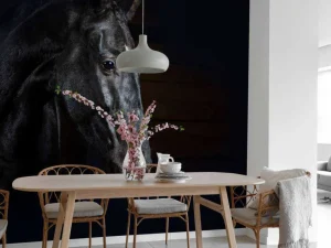 Hot Paard met een donkere achtergrond fotobehang Tienerkamer | Kinderkamer