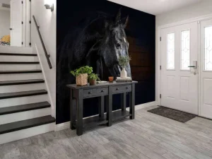 Hot Paard met een donkere achtergrond fotobehang Tienerkamer | Kinderkamer