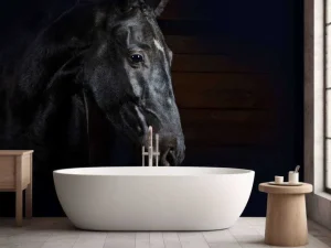 Hot Paard met een donkere achtergrond fotobehang Tienerkamer | Kinderkamer