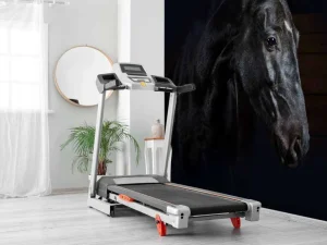 Hot Paard met een donkere achtergrond fotobehang Tienerkamer | Kinderkamer