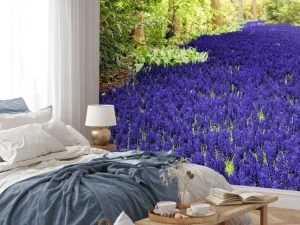 Sale Paarse muscari in de Keukenhof tuinen fotobehang Steden | Architectuur
