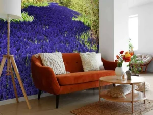 Sale Paarse muscari in de Keukenhof tuinen fotobehang Steden | Architectuur
