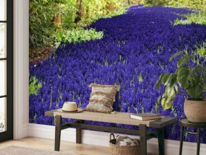 Sale Paarse muscari in de Keukenhof tuinen fotobehang Steden | Architectuur