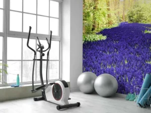 Sale Paarse muscari in de Keukenhof tuinen fotobehang Steden | Architectuur