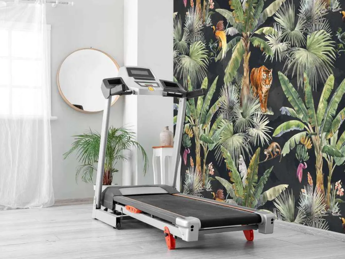 palmen_en_jungle_dieren_7.webp Discount Palmen en jungle dieren Dieren