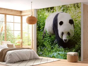 Online Panda in de natuur fotobehang Dieren