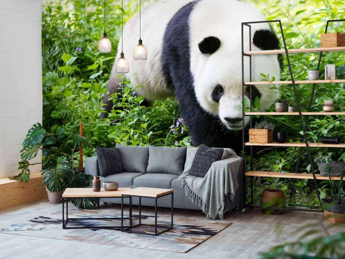 panda_in_de_natuur_fotobe_10.webp Online Panda in de natuur fotobehang Dieren