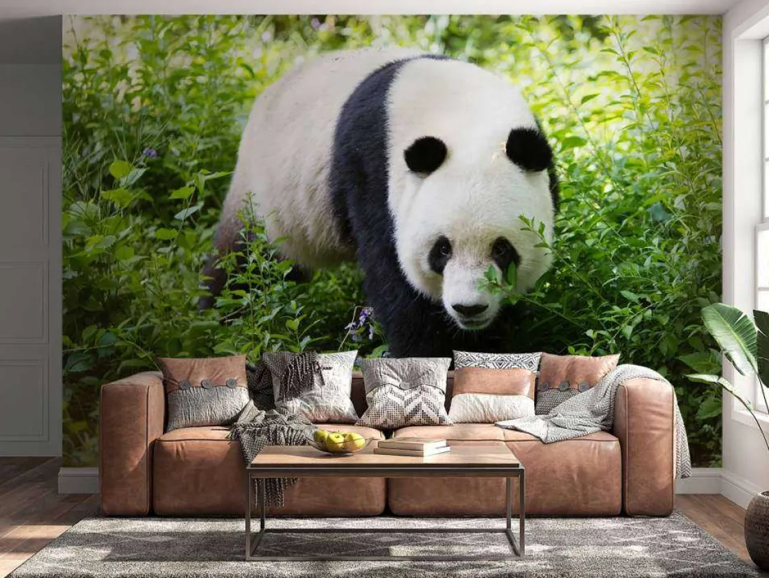 panda_in_de_natuur_fotobe_2.webp Online Panda in de natuur fotobehang Dieren