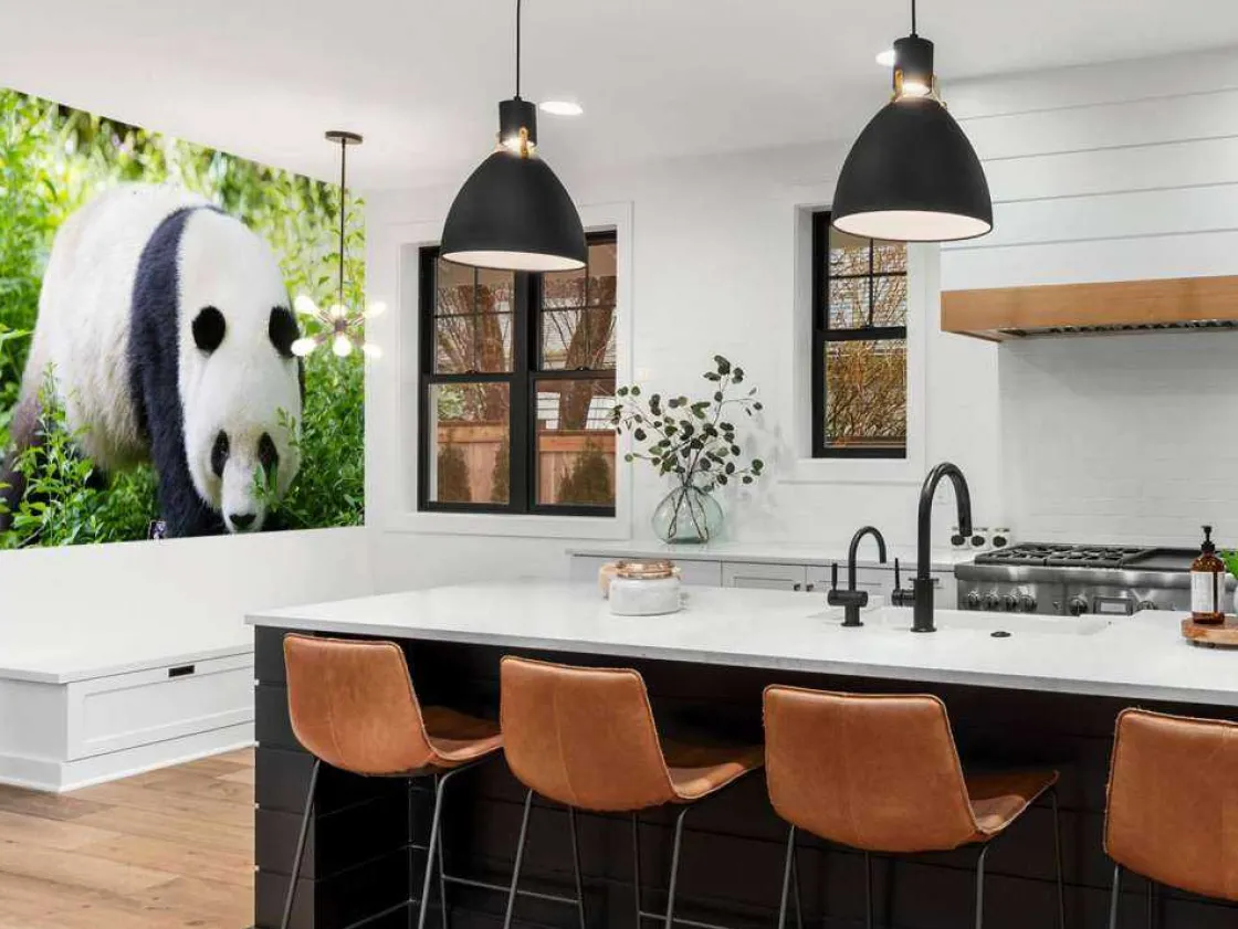 panda_in_de_natuur_fotobe_5.webp Online Panda in de natuur fotobehang Dieren