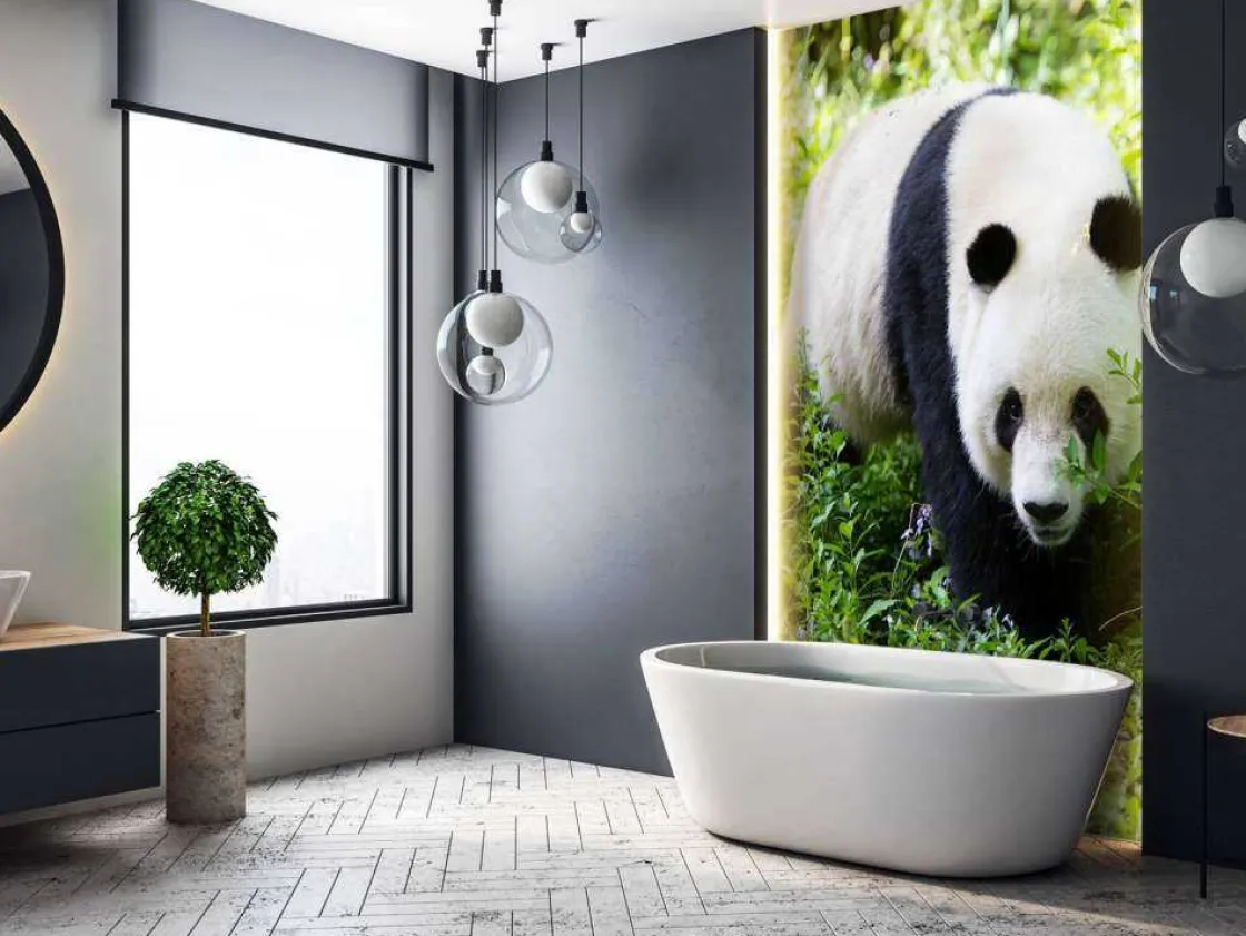 panda_in_de_natuur_fotobe_8.webp Online Panda in de natuur fotobehang Dieren