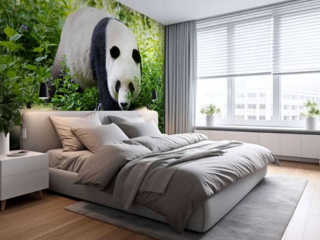 panda_in_de_natuur_fotobe_9.webp Online Panda in de natuur fotobehang Dieren
