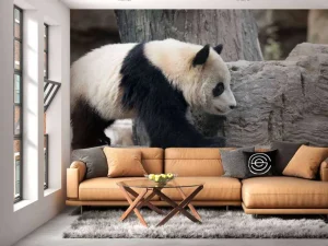 Discount Panda in een dierentuin fotobehang Dieren
