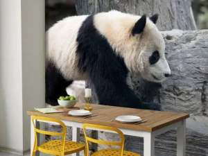 Discount Panda in een dierentuin fotobehang Dieren