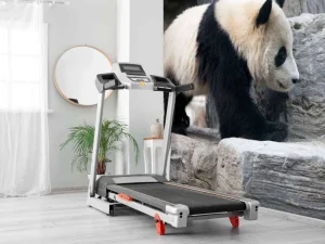 Discount Panda in een dierentuin fotobehang Dieren