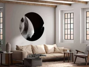 Online Panda's met een zwarte achtergrond fotobehang Woonkamer | Dieren