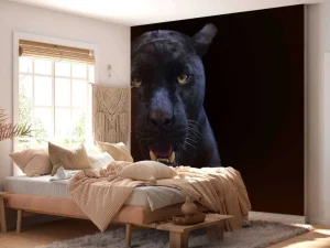 Fashion Panter met een zwarte achtergrond fotobehang Tienerkamer | Dieren