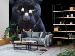 Fashion Panter met een zwarte achtergrond fotobehang Tienerkamer | Dieren