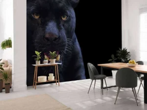 Fashion Panter met een zwarte achtergrond fotobehang Tienerkamer | Dieren