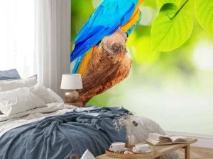 Online Papegaai in de zon fotobehang Dieren