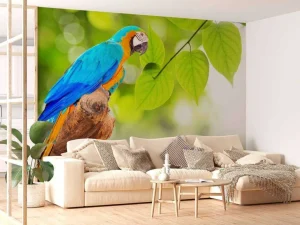 Online Papegaai in de zon fotobehang Dieren